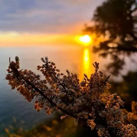 Апартаменты Il Sogno Del Capitano *