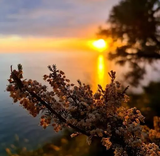 Appartement Il Sogno Del Capitano *