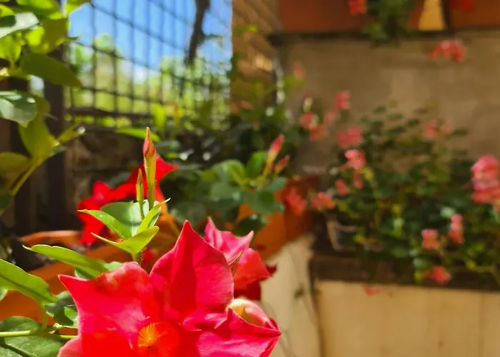 Il Sogno Del Capitano Pieve Ligure