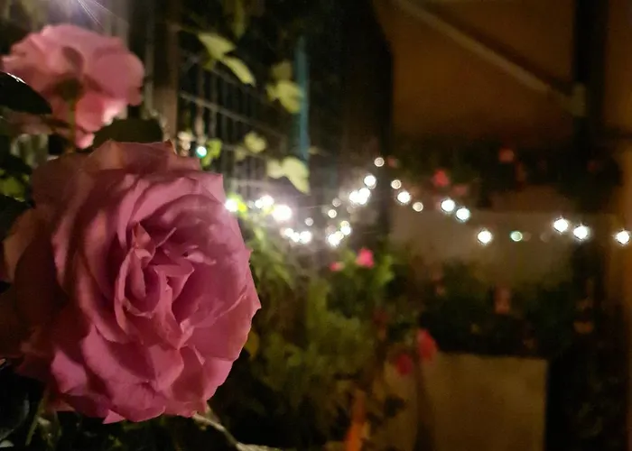 Il Sogno Del Capitano Appartement Pieve Ligure